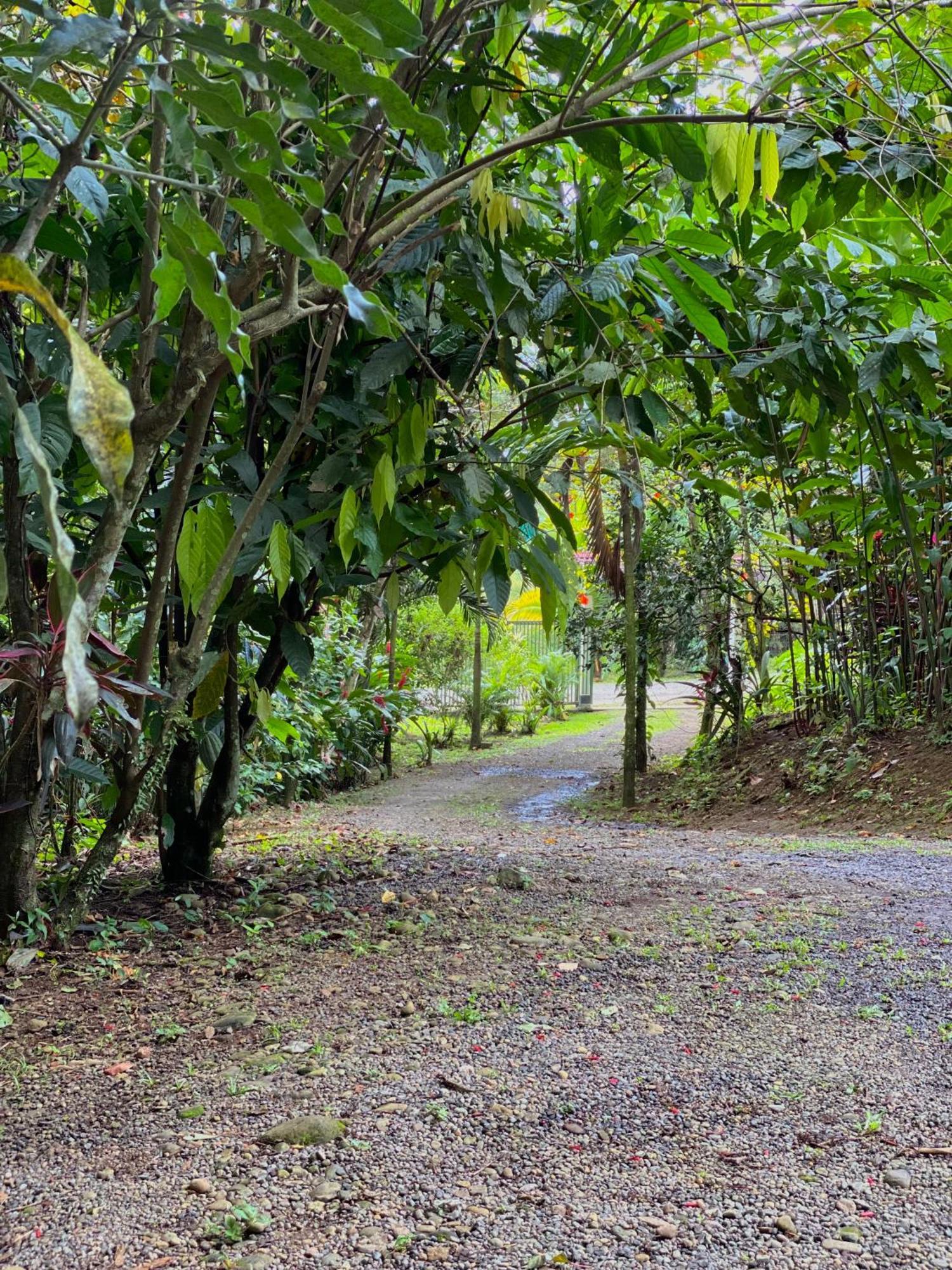 Campo Verde House, La Fortuna De San Carlos Kültér fotó