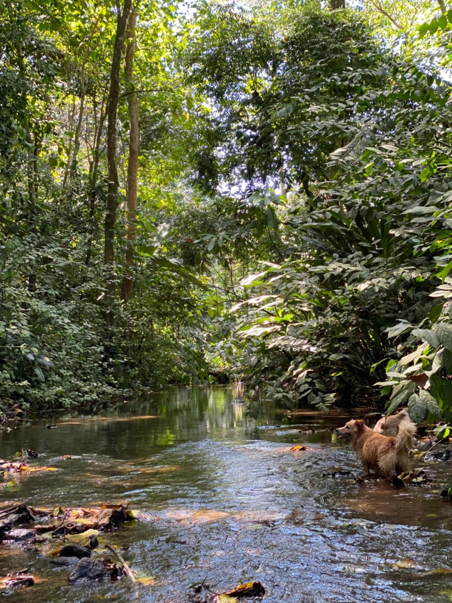 Campo Verde House, La Fortuna De San Carlos Kültér fotó